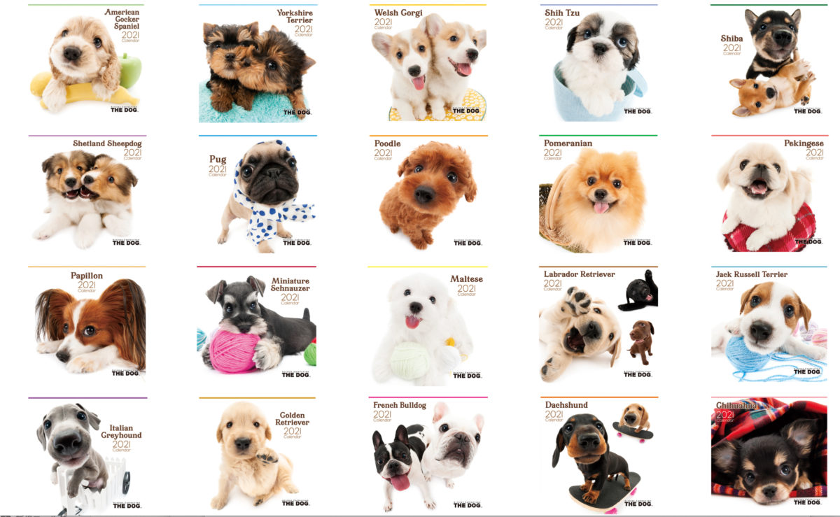 the-dog-2021-calendars-are-now-available-the-dog-official-brand-site