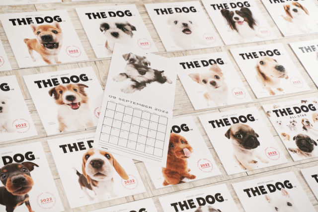 THE DOG 2022 Calendars are available for purchase even from outside Japan!