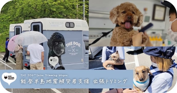 能登半島地震で被災したペットのトリミングサービス第2弾を実施