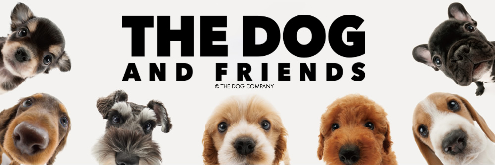 THE DOGについて